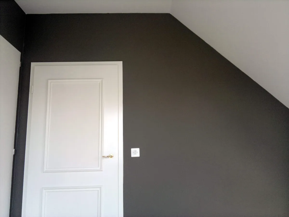 Combles dont les murs et le plafond sont peints en anthracite, avec une porte blanche.